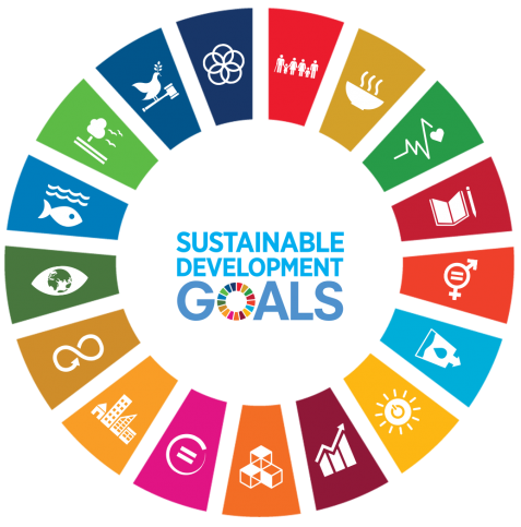 SDG impact logo
