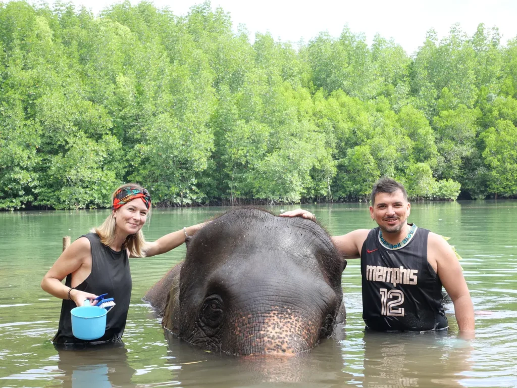 get-up-close-krabi-elephant