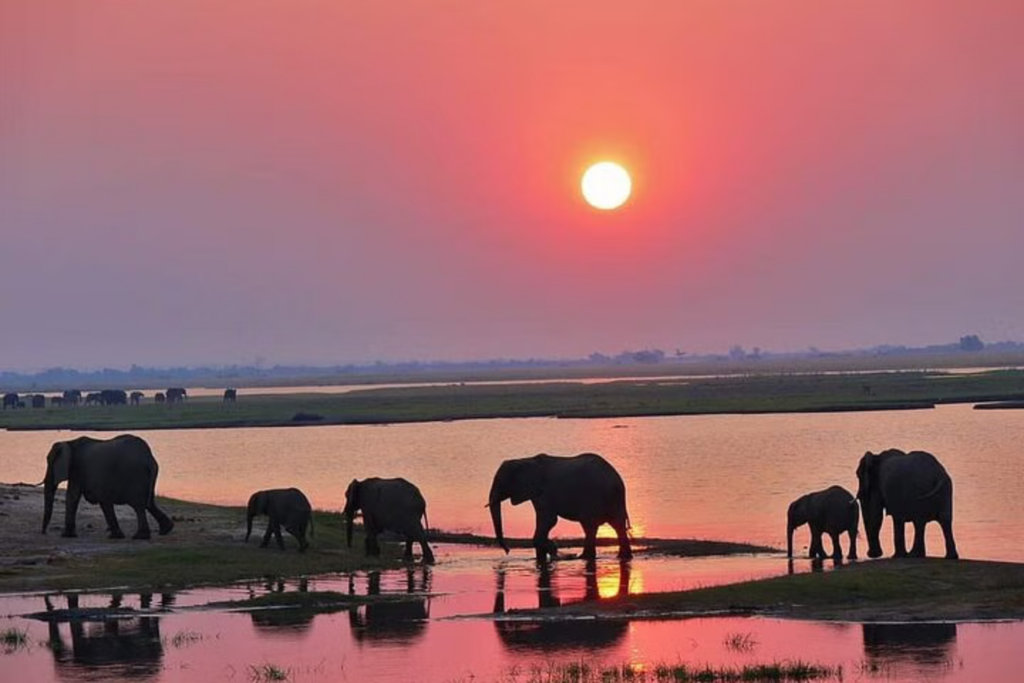 Day Trip Livingstone to Botswana