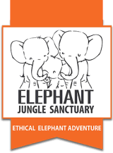 Elephant Jungle Sanctuary (EJS) logo